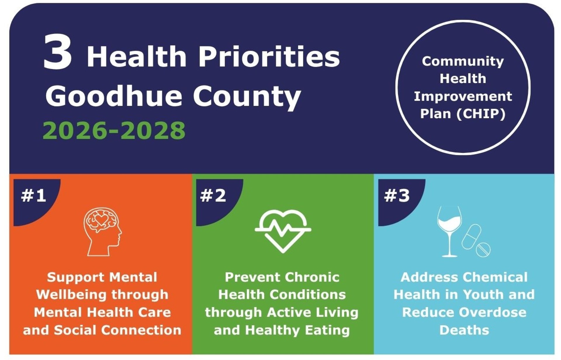 3 Health Priorities for Goodhue County & Action Plans