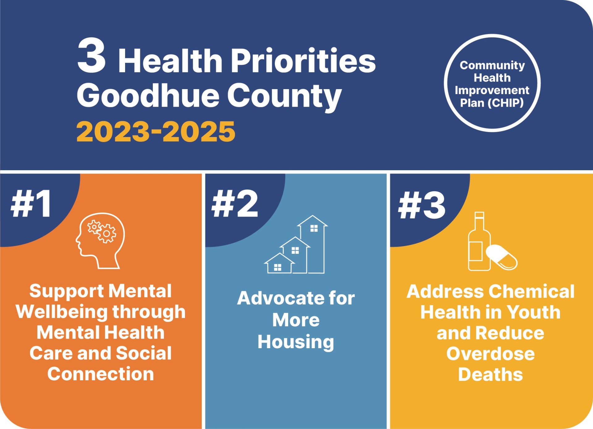 3 Health Priorities for Goodhue County & Action Plans
