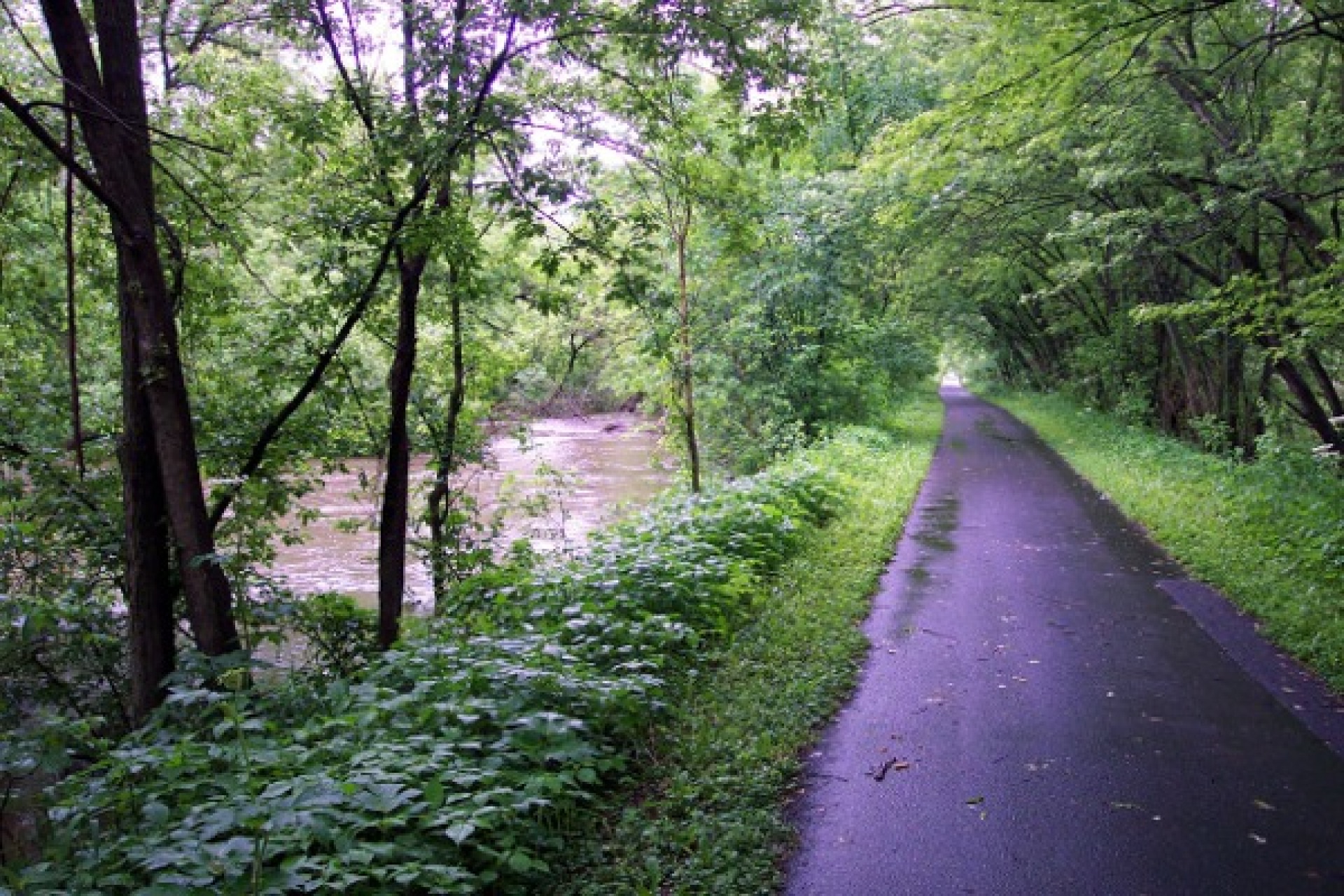 A part of the Cannon Valley Trail that includes a paved road through a green space.